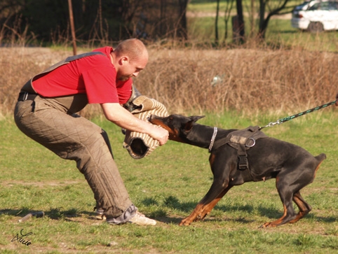 Training 26. 3. 2007